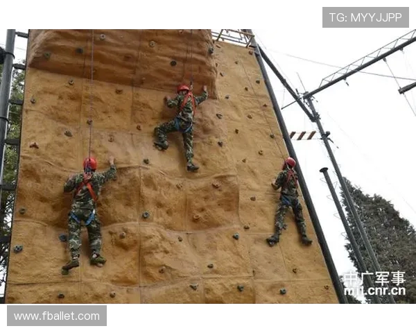 北京攀岩队的力量与技巧分析探讨攀岩运动的未来发展方向