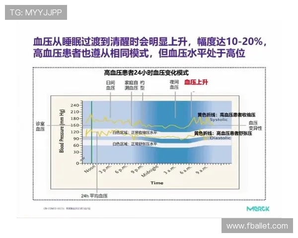 北京羽毛球队耐力对比深度解析及训练策略探讨