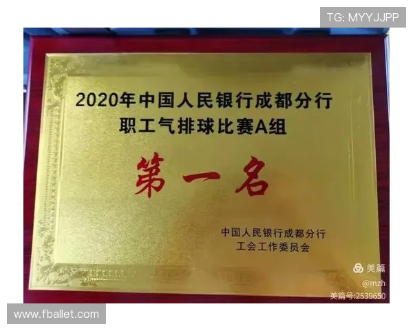 成都排球队在全国排球比赛经验排行榜中荣获第九名的佳绩解析