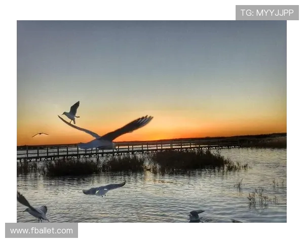 滑板人生的深度对话：王军与梦想的追逐与坚持