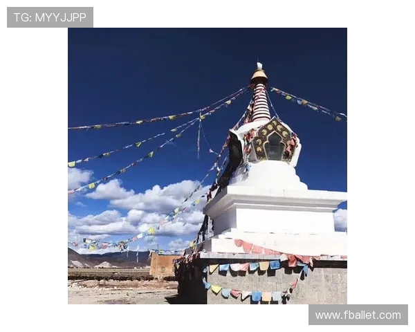 马丁内斯：从足球场上的明星到生活中的平凡英雄之路