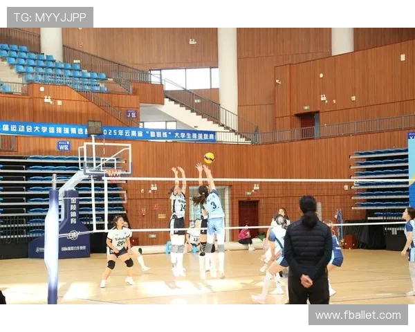 杭州排球队在排球意识排行榜中荣获第二名展现出强大实力与团队合作精神