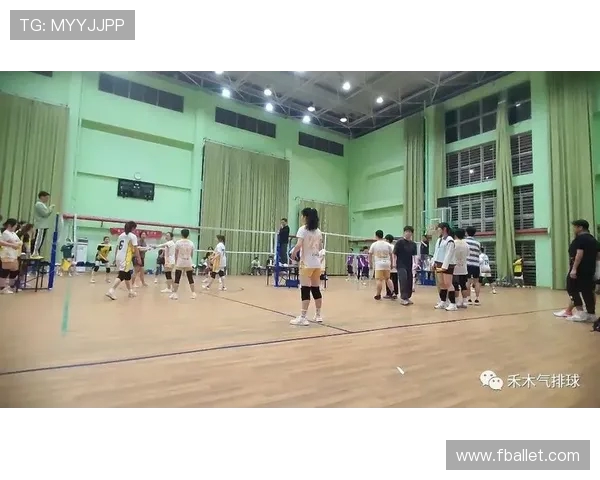 上海篮球队技术揭秘：从战术布局到球员训练的全景分析